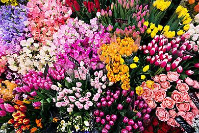 多人第一人称射击游戏《午夜凶杀俱乐部》3月13日开启抢先体验 