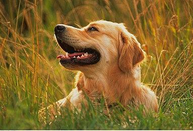 《绝地求生》发布游戏电影预告片 “幸运的一天”